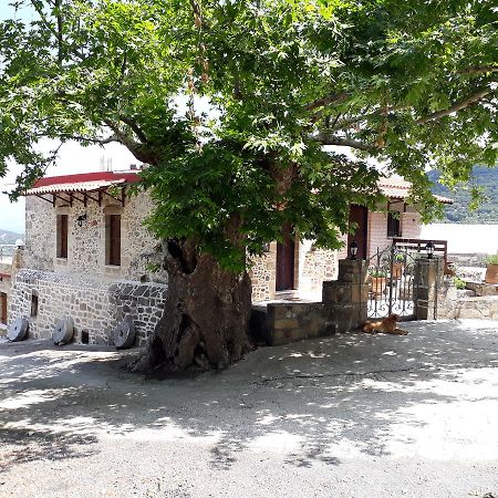 Traditional House Koukounara Kíssamos Buitenkant foto